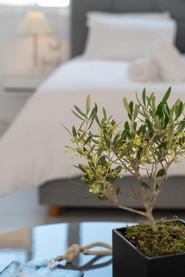 Olvar Suites 雅典 外观 照片